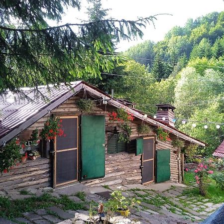 Zimska Idila Apartman Crni Vrh Kültér fotó