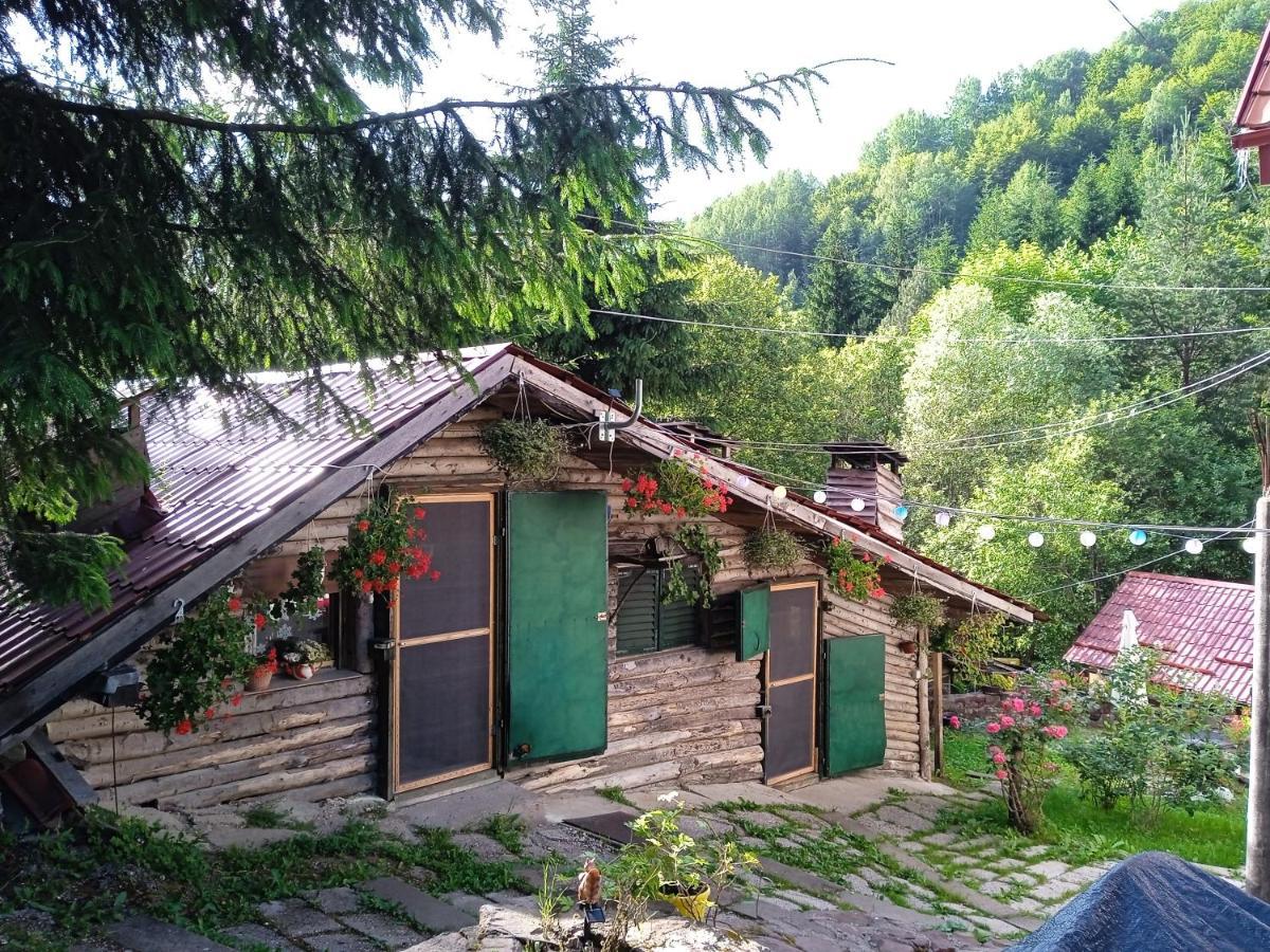 Zimska Idila Apartman Crni Vrh Kültér fotó